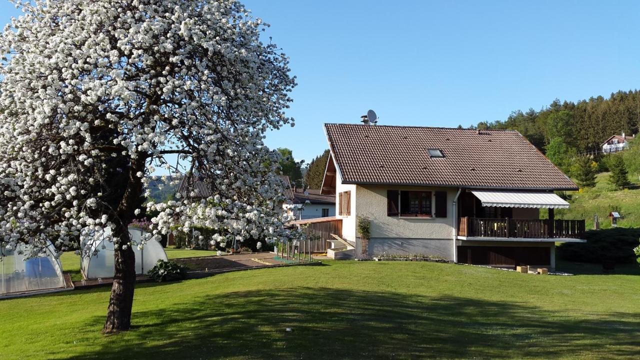 Ferienwohnung Les Jumeaux Granges-sur-Vologne Exterior foto